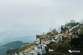 寻找马帮，探访不可复制的历史图片