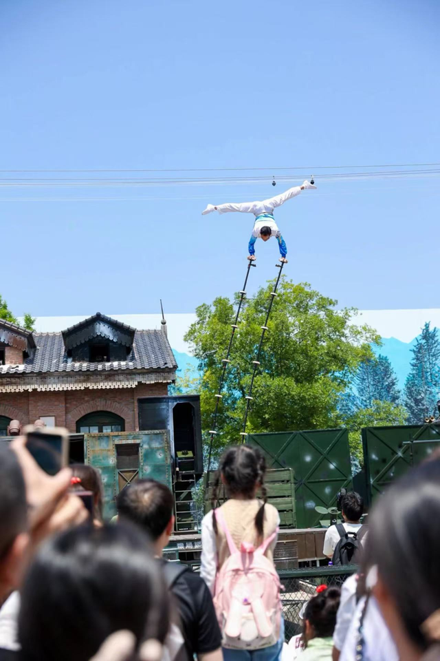 浮来山银杏树，即将迎来最佳观赏期！就自周末起！