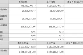 正丹股份：2023年上半年净利润2563.11万元 同比下降58.35%图片