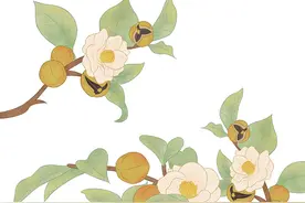 路边有人高价售卖“天山雪莲”，杭州大爷以为买到了“宝贝”，但其实……图片