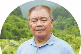 “岳山造林”如何启示当下？图片
