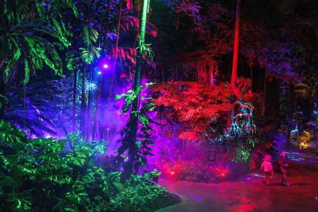 （外代二线）“夜间公园”灯光秀