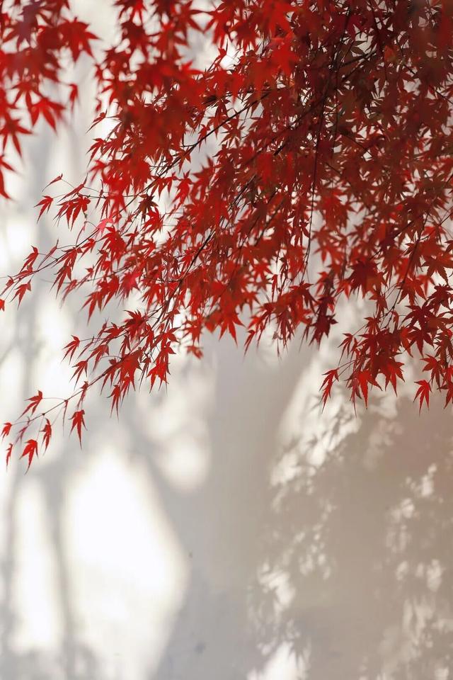 当代人需要的情绪价值，镇江给你！