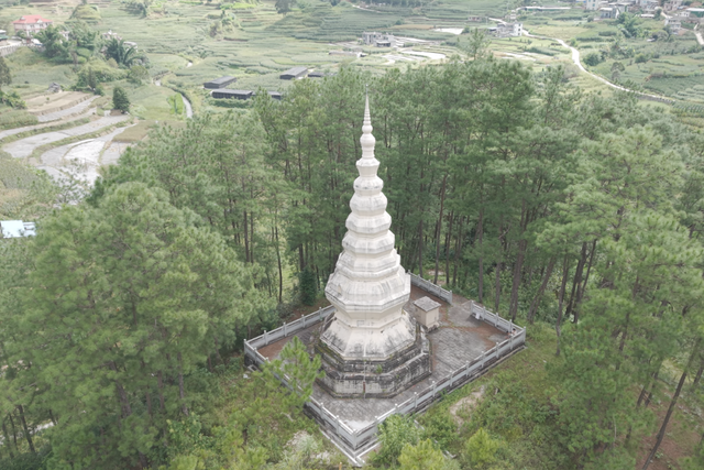 带上家人，到章驮乡摘甜甜的白草莓！