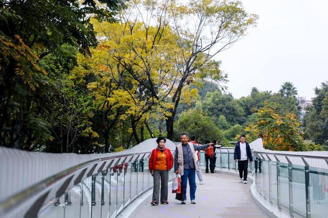 翠湖城市绿道构建昆明文旅新动脉