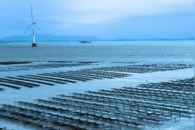 福清三山镇上坤村：党建为锚，奏响海上沃野丰收曲图片