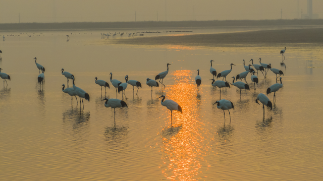 新华社+《国家地理》推荐 快来打卡山东秋景限定款