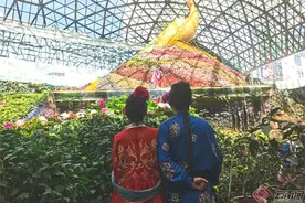 昆明花之城“国色芳华”牡丹花展惊艳来袭图片
