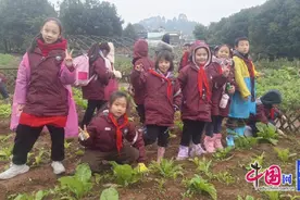 雨润冬意，劳动筑梦 乐师附小开启冬日暖心之旅图片