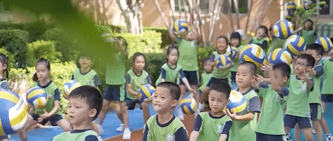 去粤港澳这篇就够了！最新指南→