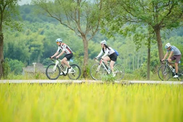 派潭镇申请出战！从嘉禾望岗的离愁，到派潭温泉的治愈