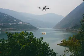 从飞防到吊运：大疆农业无人机助力秭归橙子“上天”  带动低空经济蓄势“起飞”图片