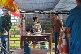 河南五一假期“樱桃经济”遍地开花图片