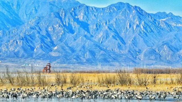 北京冬日限定“奇观”！就到月底！快冲→