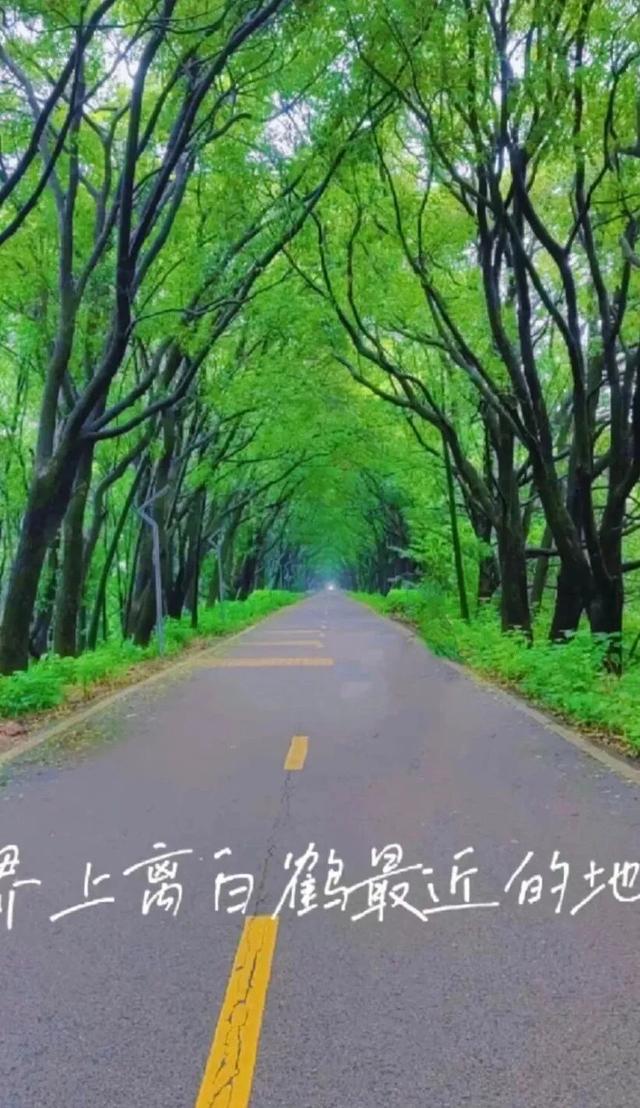 江西秋日自驾天花板，这几条公路带你驶入最美秋色！