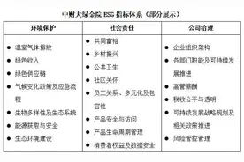 ESG看点|中外ESG评级机构指标互认仍存较大挑战图片