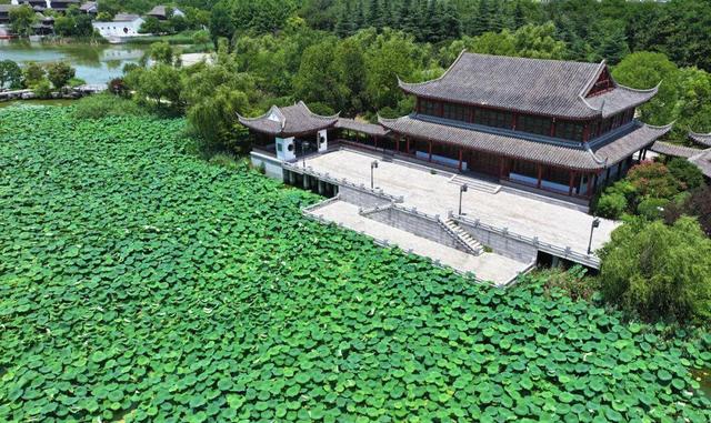 来宿城，打卡我“荷”你的浪漫