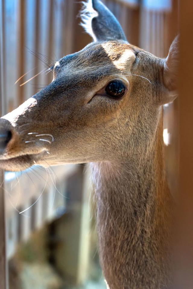 遛娃天花板！千岛湖也太会了！