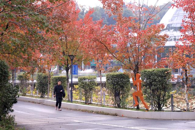 邂逅长沙最美秋天！湖南省植物园彩叶植物进入观赏期