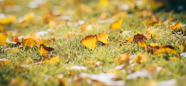 这波不亏！快来舟山这里浪！
