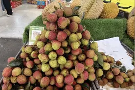 新鲜荔枝上市，售价28至38元一斤图片