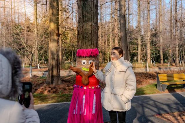 这么萌的树，谁能拒绝！