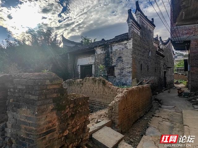 岁暖时刻丨秋访茶源渡：一段隐藏在山水间的峥嵘岁月