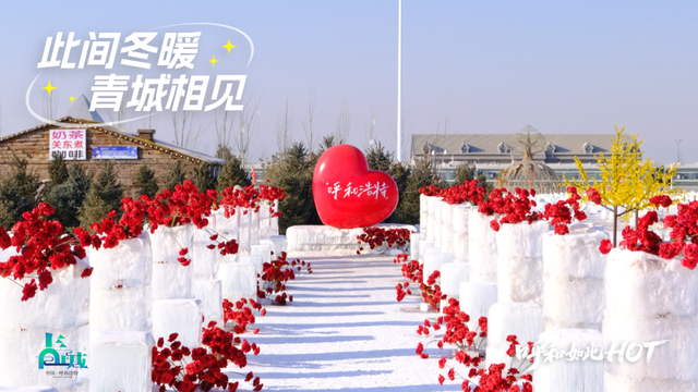 今日立冬！呼和浩特的冬天，一半沉静，一半炽热