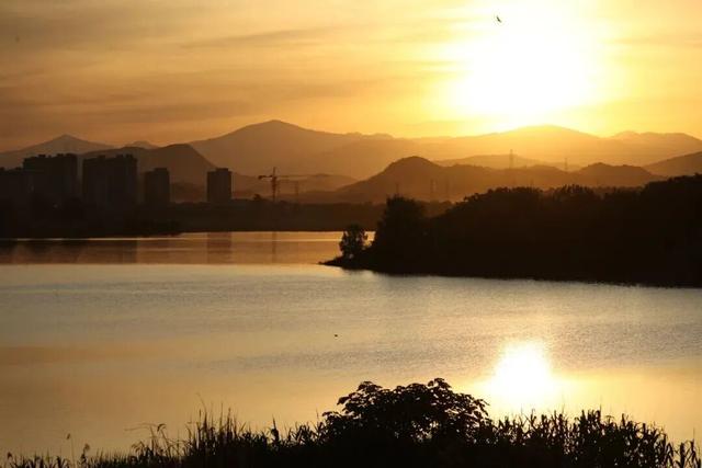 全网征集！寻找余杭苕溪最美风景