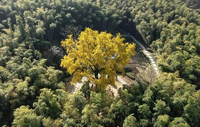 刷屏了巢湖这里，美了600年