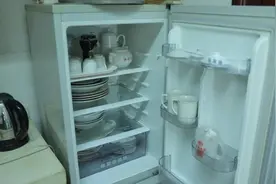 旧冰箱隐患多 “以旧换新”消费者购得新机图片