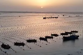 荣成：沧海渔歌图片