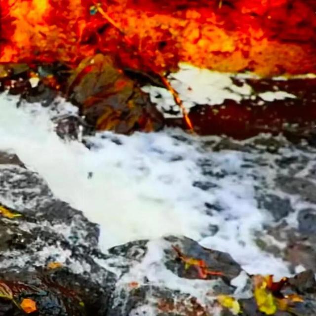 醉美坊子｜秋染小城，被时光温柔以待