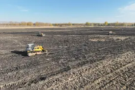 北大荒集团依安农场1.4万亩“小池子”变身“大格田”图片