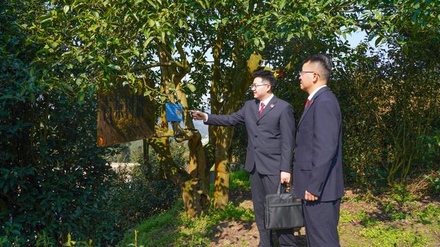 监督与支持并重！公益诉讼赋能金沙文旅融合