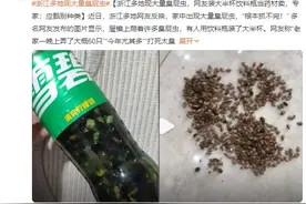 浙江多地出现大量臭屁虫：打死太臭了 不少人寻求驱虫方法图片