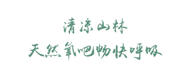 乐游绵阳 清凉一夏 ‖ 走出浪浪山，996 暂停！邀你来体验盐亭夏日山系生活！