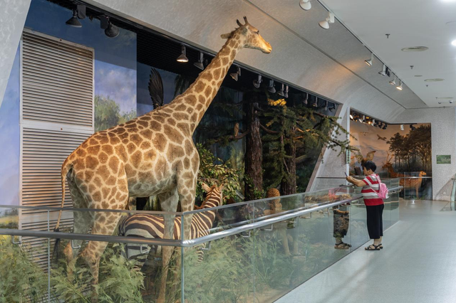 烟台自然博物馆：“五美融育”绘就“仙境海岸·最美博馆”