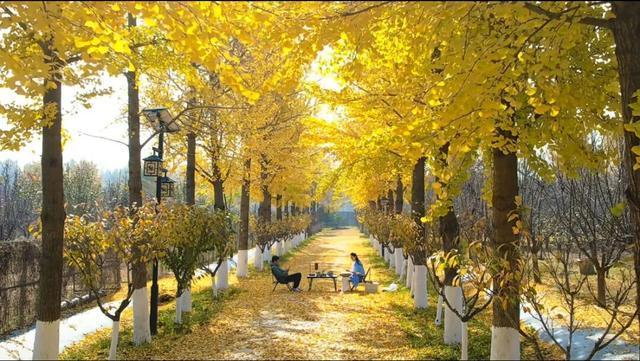 初冬诸城，小城意暖正当时