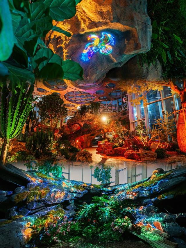 上海温室花园破百万游客！7月26日夜游开闸，光影里的植物狂欢夜等你来