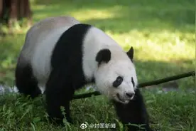 美香一家平安到家了图片