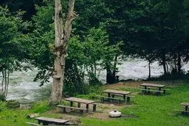 湖北疾控健康提示：户外露营预防蜱虫叮咬图片