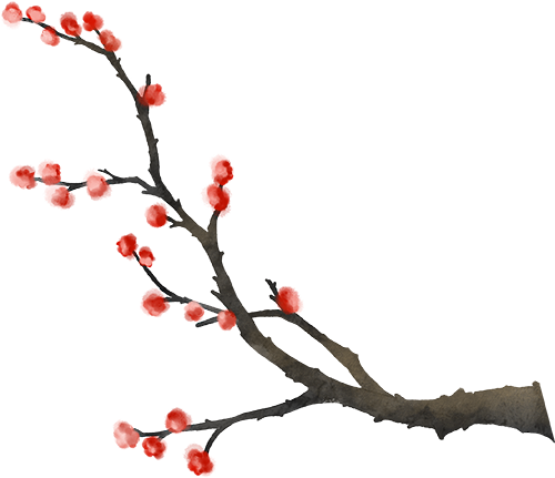 【千秋蒙顶 中国名山】暗香浮动，灯火阑珊｜精灵谷梅花园邀你共赴新春光影宴