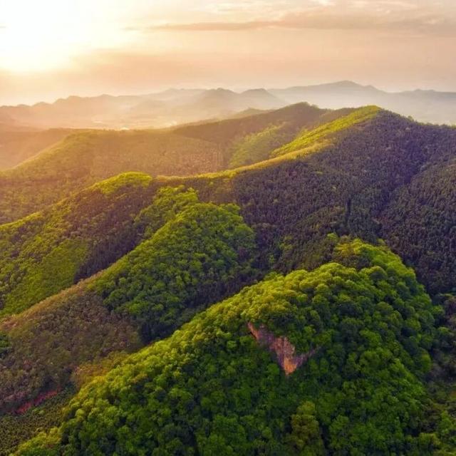 沪渝蓉高铁武荆宜段即将开通，福利一 “票” 通→