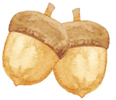 今日立冬！三个仪式解锁肥城初冬的终极浪漫！