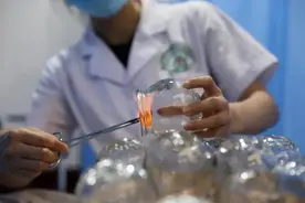 女子每周拔罐放血200ml致重度贫血，罐不是人人都能拔图片