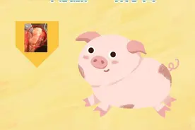 猪身上有3种肉，再便宜也别买！小心吃坏身体图片