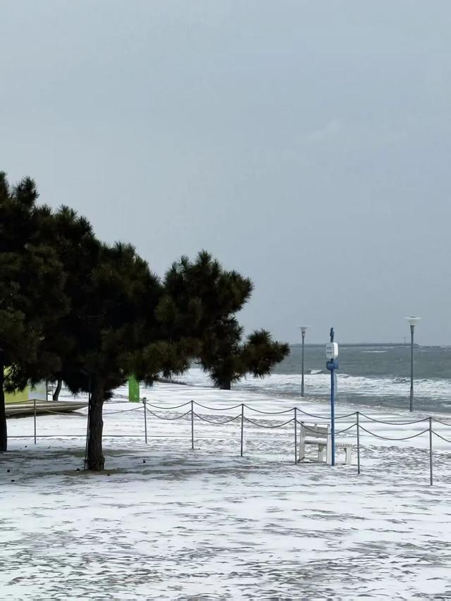 雪后的日照，美成水墨画！附最新闭园公告！