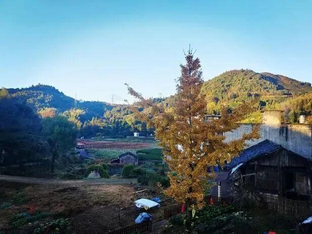 福鼎这里藏着一座“四季画廊”……