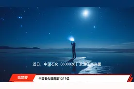 中国石化增资至1217亿视频封面
